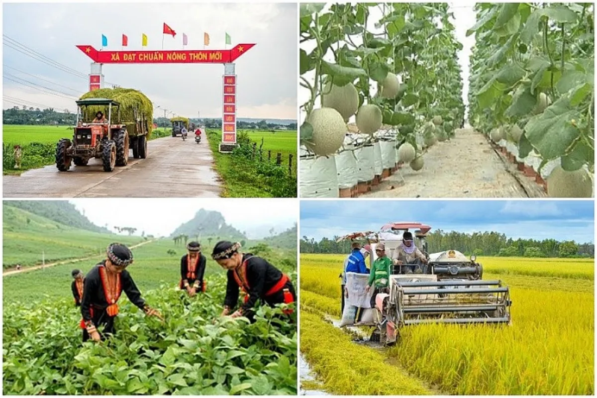Triển khai Nghị quyết cơ chế đặc thù thực hiện chương trình mục tiêu quốc gia
