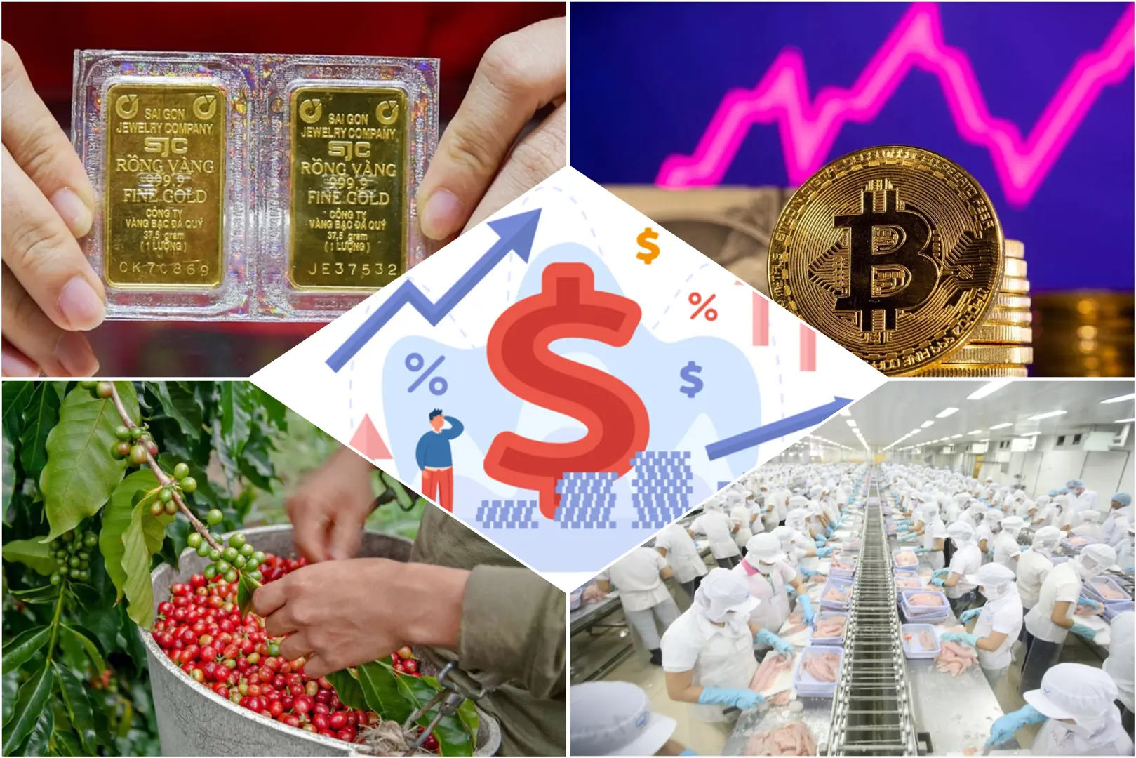 Tin tức kinh tế ngày 6/3/2024: Giá bitcoin giảm, giá cà phê lập đỉnh