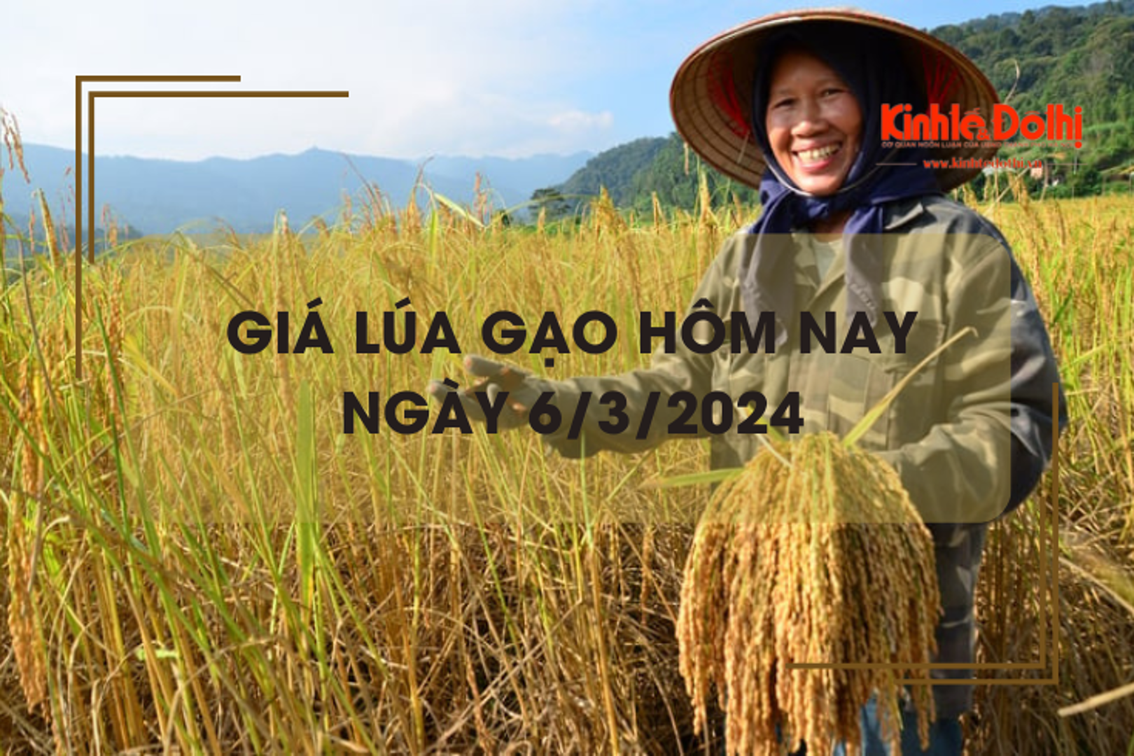 Giá lúa gạo hôm nay 6/3/2024: Giá gạo xuất khẩu giảm mạnh