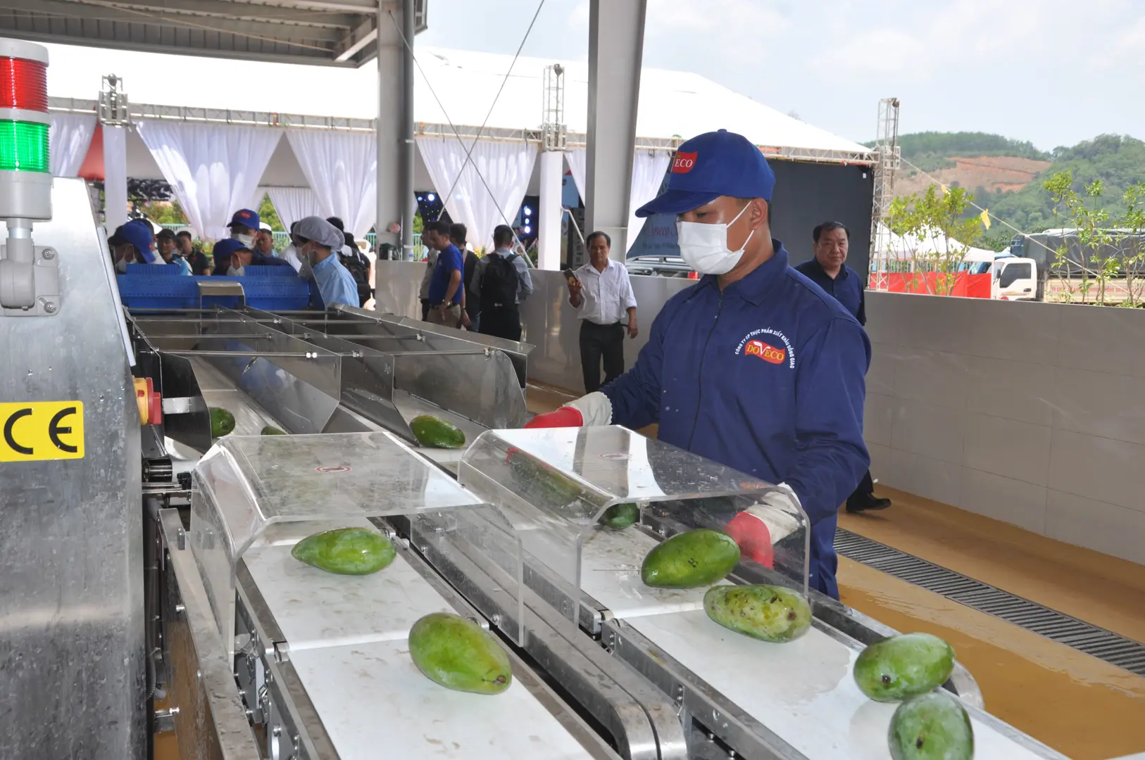 Làm gì để bảo hộ thương hiệu nông sản Việt?