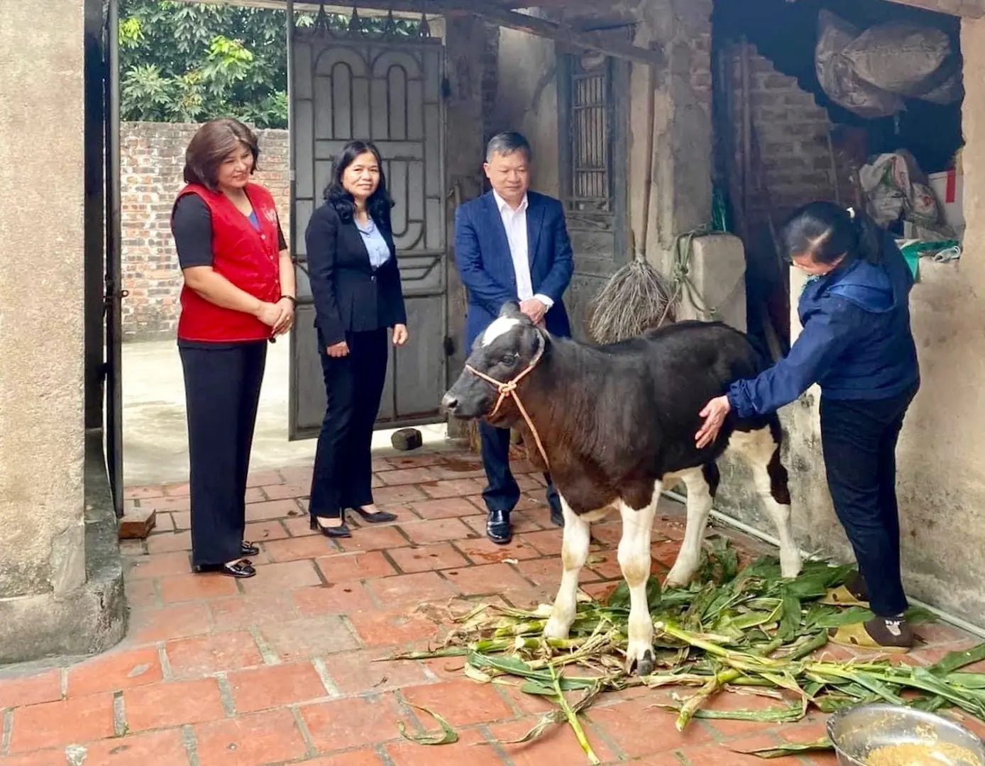 Huyện Sóc Sơn: Trao bò sinh sản hỗ trợ gia đình có hoàn cảnh khó khăn