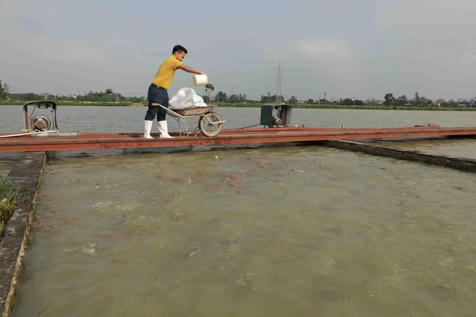 Hà Nội: Dư địa lớn từ nuôi trồng thuỷ sản công nghệ cao