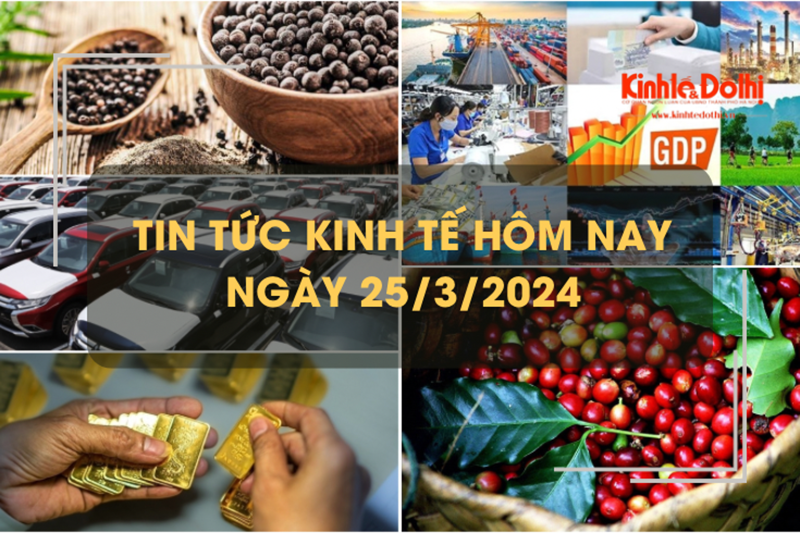 Tin tức kinh tế ngày 25/3/2024: Giá tiêu cao nhất kể từ năm 2017 đến nay