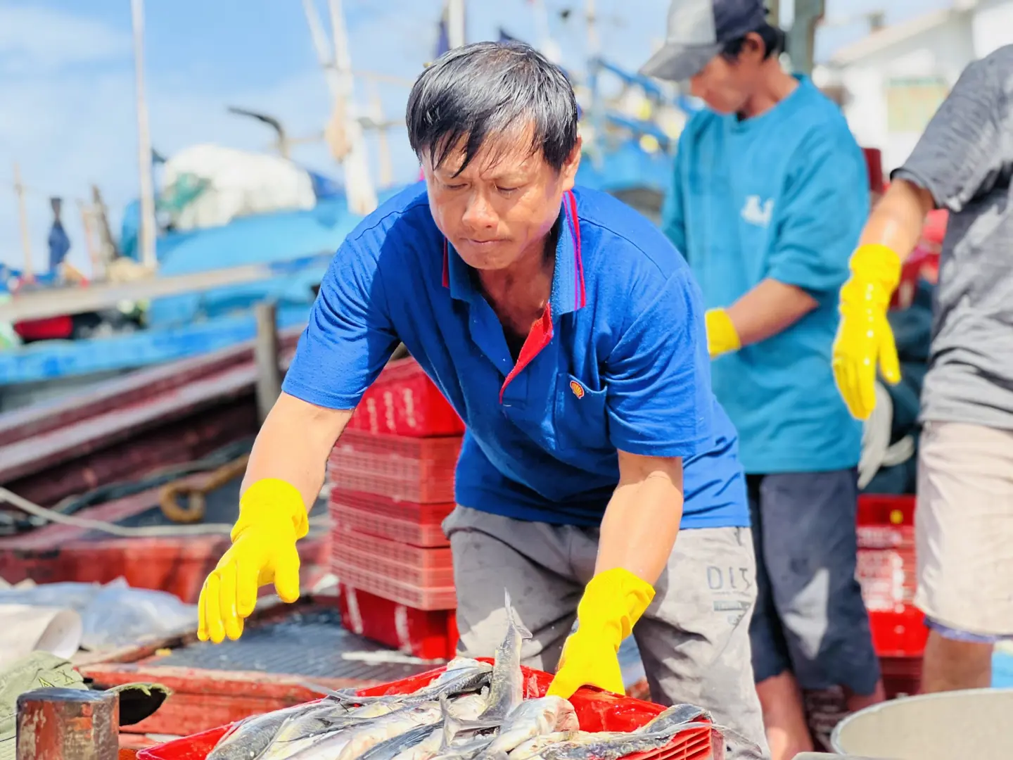 Quảng Ngãi: Chủ tàu cá vất vả tìm lao động để ra khơi