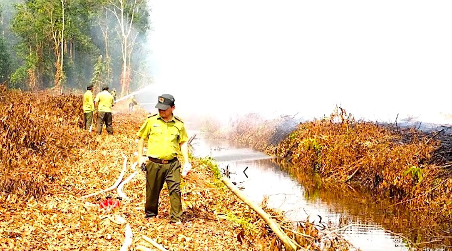 Hàng chục ngàn hec ta rừng Cà Mau đang có nguy cơ cháy