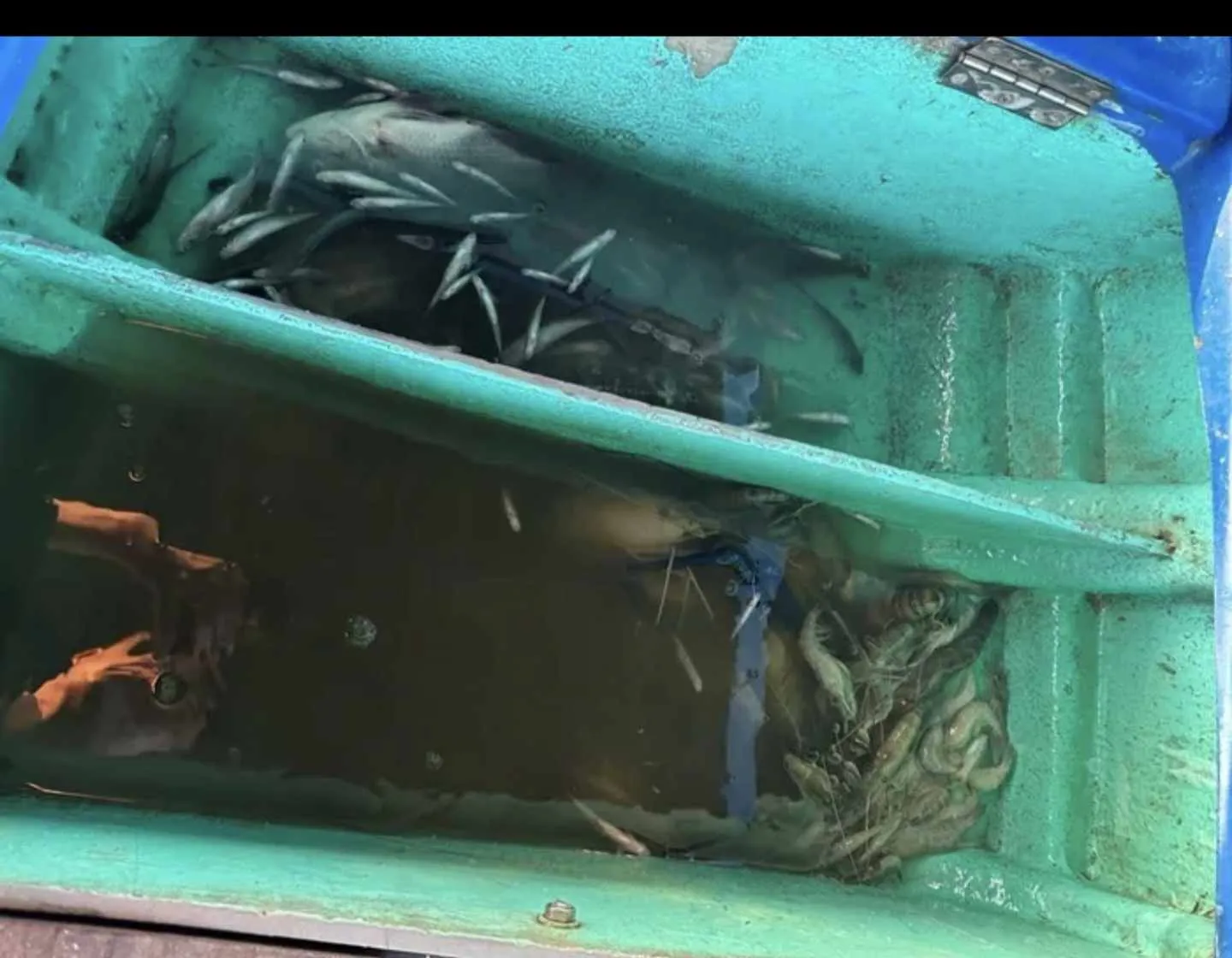 Bắt quả tang hai đối tượng khai thác thủy sản bằng thuốc trừ sâu
