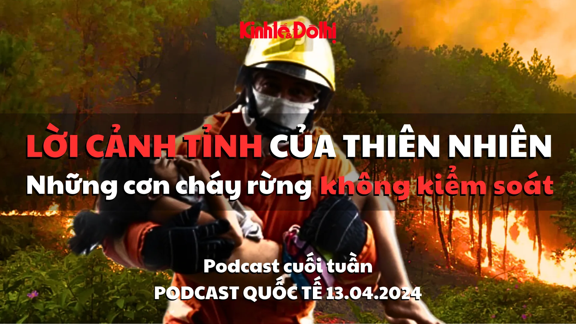 Lời cảnh tỉnh của thiên nhiên: những cơn cháy rừng không thể kiểm soát