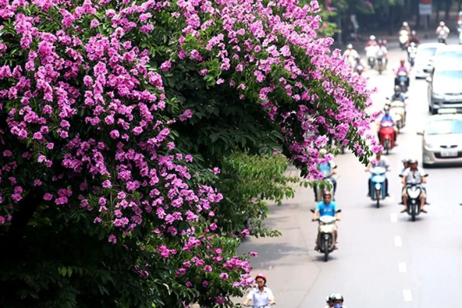 Dự báo thời tiết 10 ngày tới tại Hà Nội và các khu vực khác