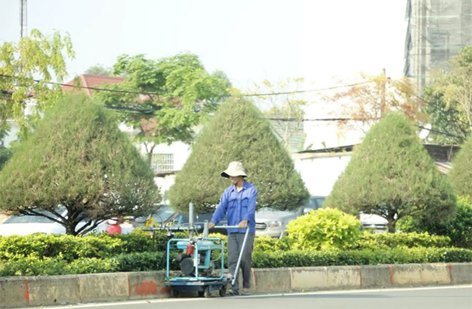 Bộ Công an đề nghị nhiều tỉnh cung cấp thông tin dự án trồng cây xanh