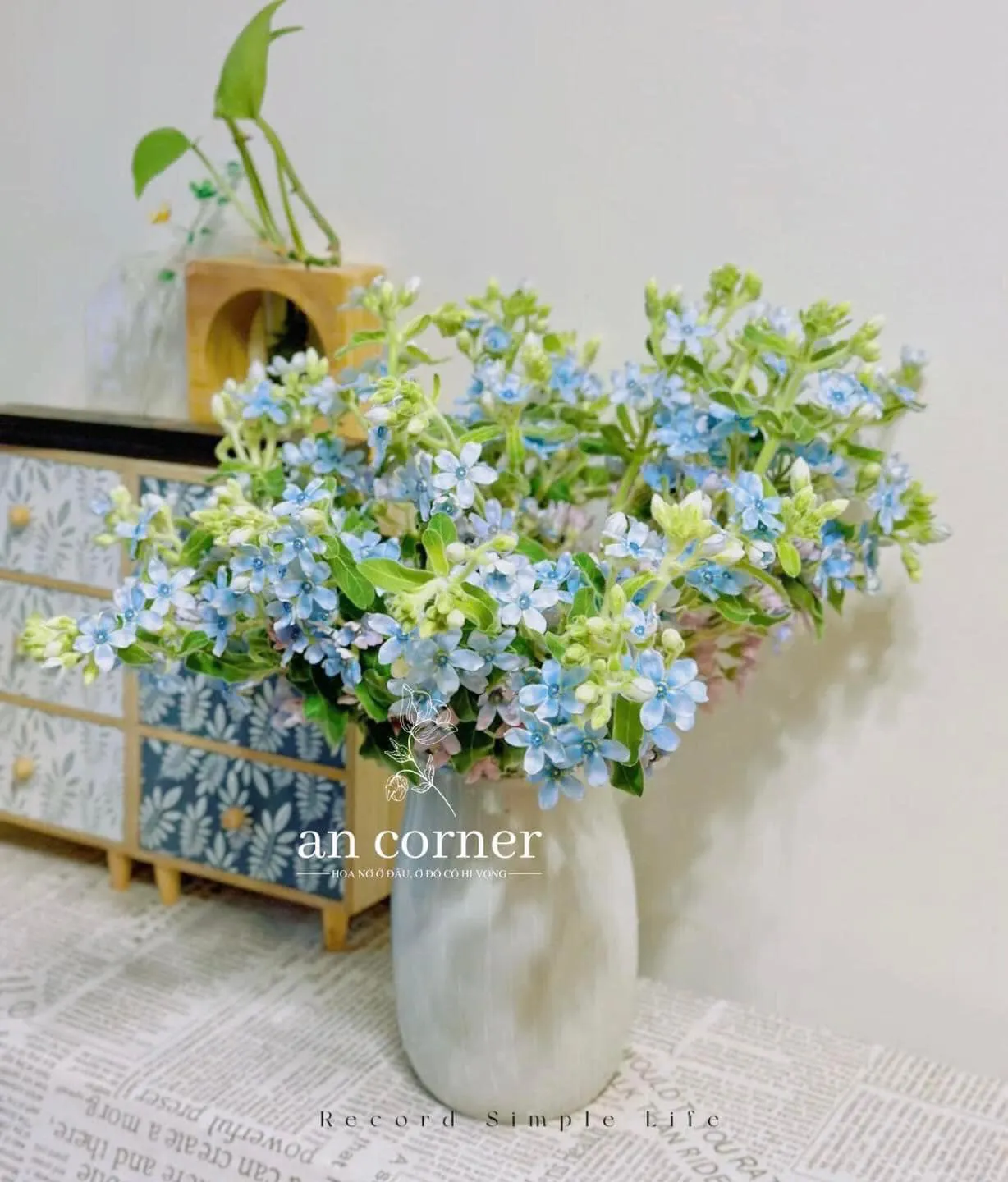 Tử vi 12 cung hoàng đạo ngày 5/5/2024:  Cự Giải trở nên nhanh nhẹn hơn