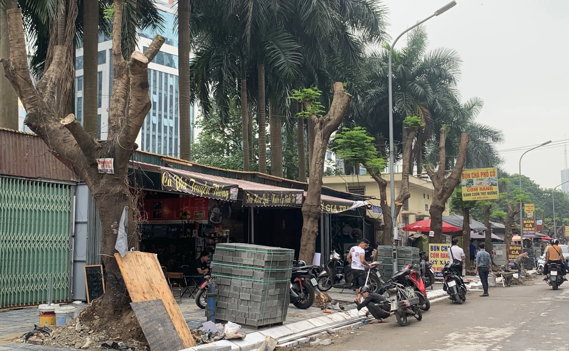 Quận Cầu Giấy nói gì về việc cây xanh bị cắt trụi cành