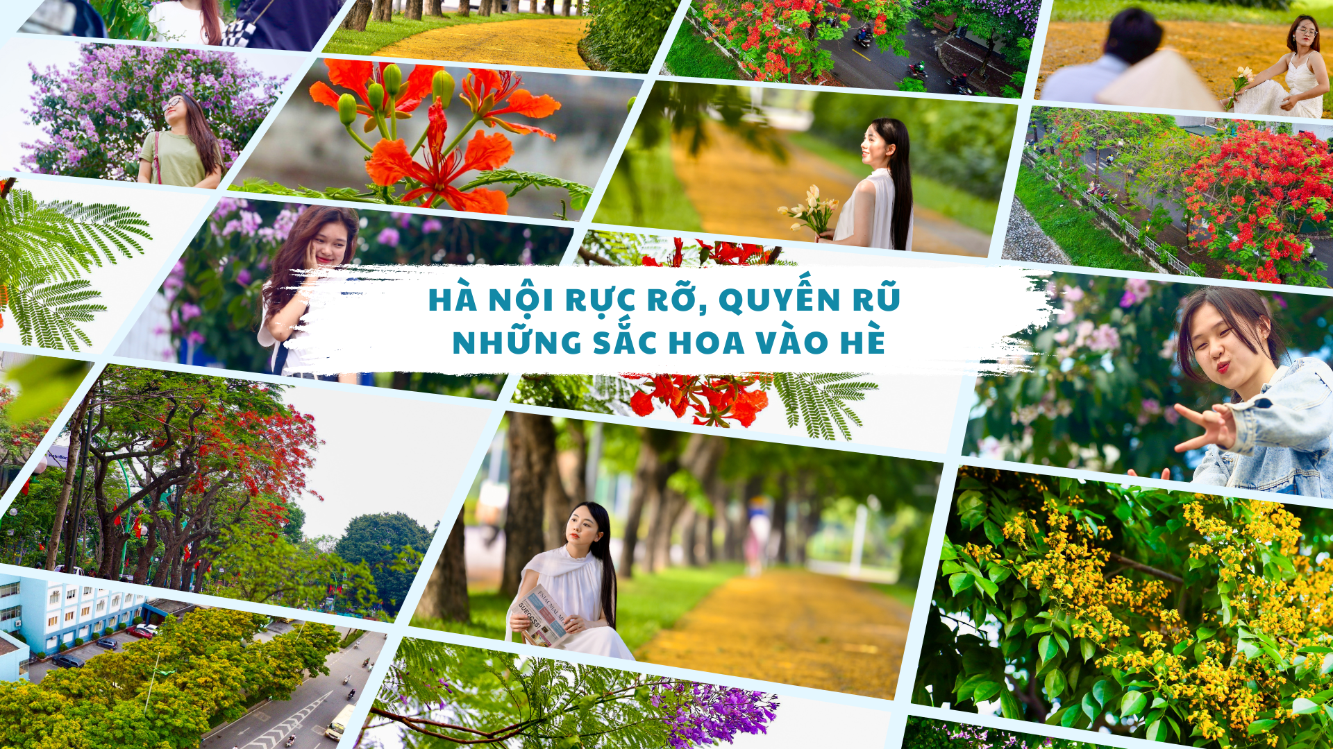 Hà Nội rực rỡ, quyến rũ những sắc hoa vào Hè