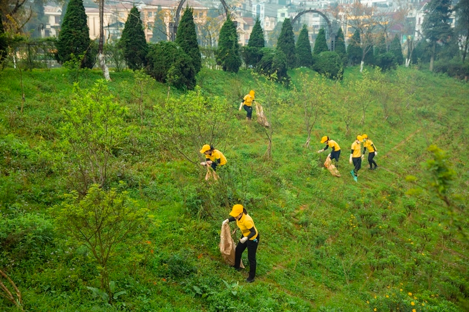 Lào Cai triển khai nhiều hoạt động hưởng ứng ngày Môi trường thế giới năm 2024