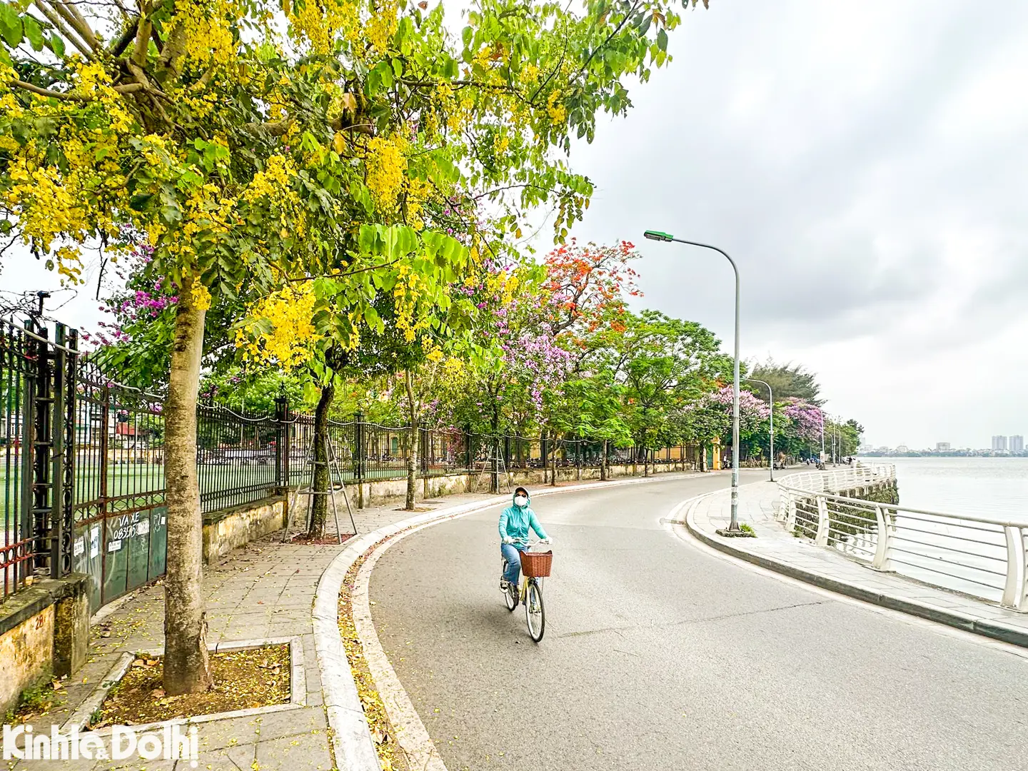 Ngắm mùa hoa tháng 5 khoe sắc tại Hà Nội