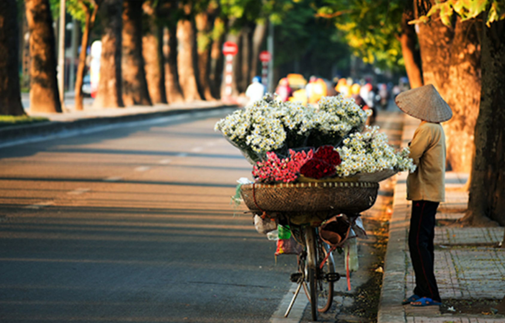 Dự báo thời tiết ngày 19/5/2024: Hà Nội ngày nắng, chiều tối mưa rào