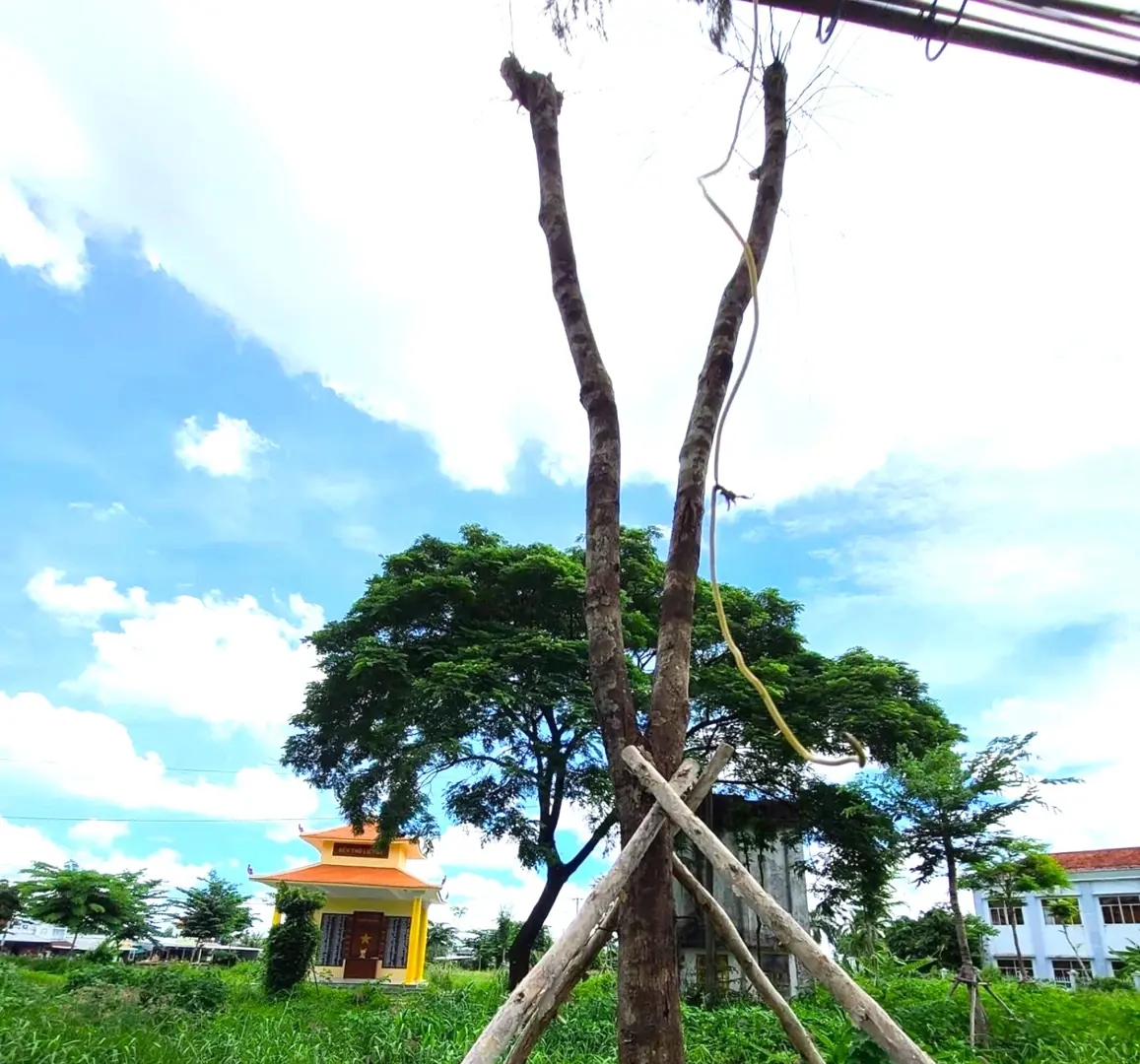 Cà Mau - Bạc Liêu: Công ty Công Minh trúng nhiều gói thầu tiền tỷ 