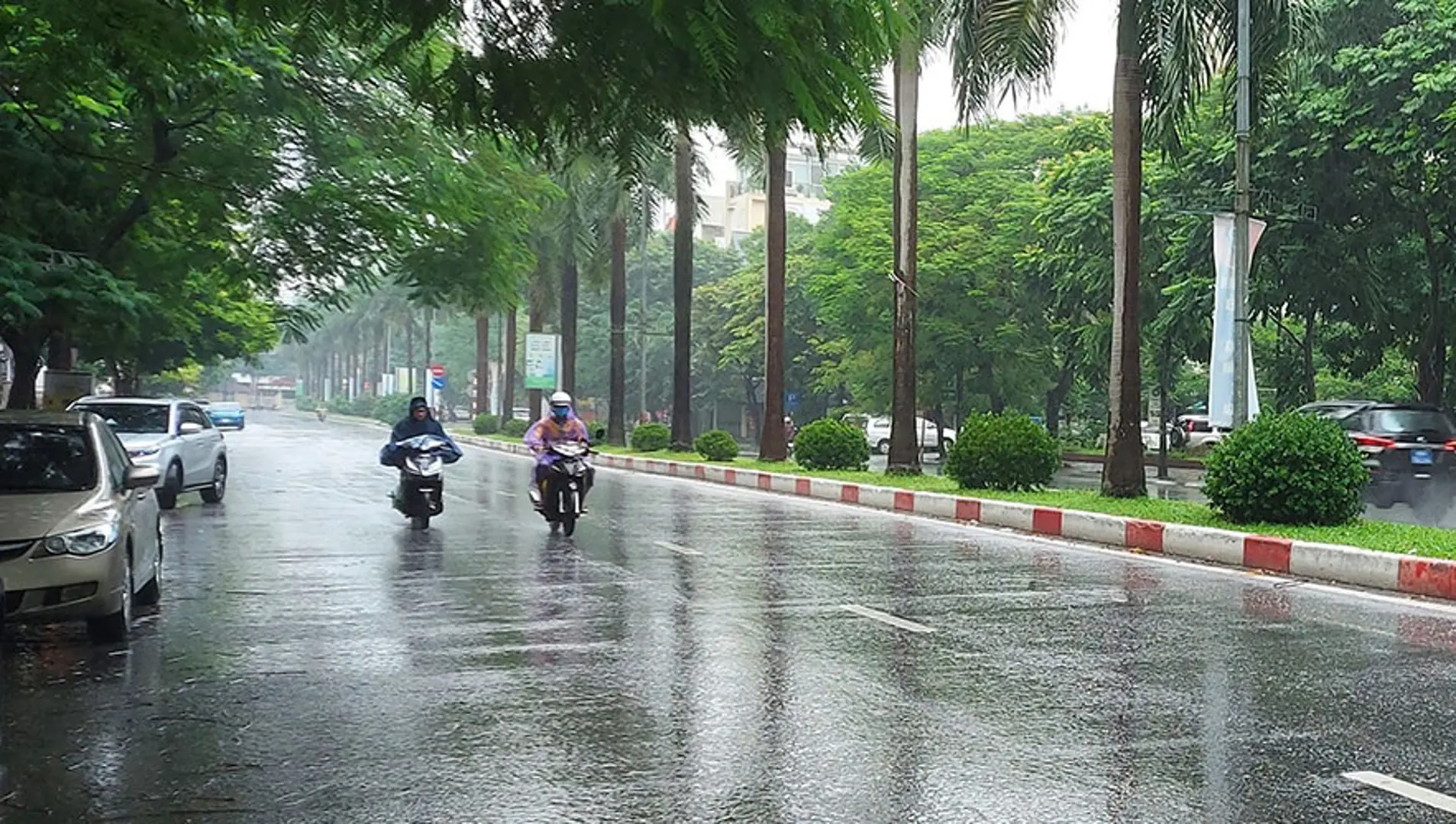 Dự báo thời tiết ngày 24/5/2024: Hà Nội có mưa rào và dông, gió nhẹ