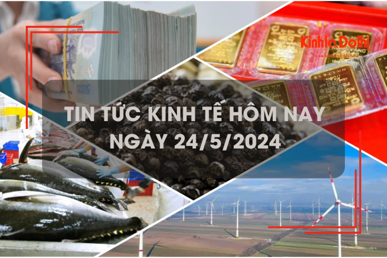 Tin tức kinh tế ngày 24/5/2024: giá hạt tiêu dự báo sẽ đắt đỏ