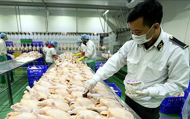 Bệnh động vật xuyên biên giới – mối lo của thương mại quốc tế