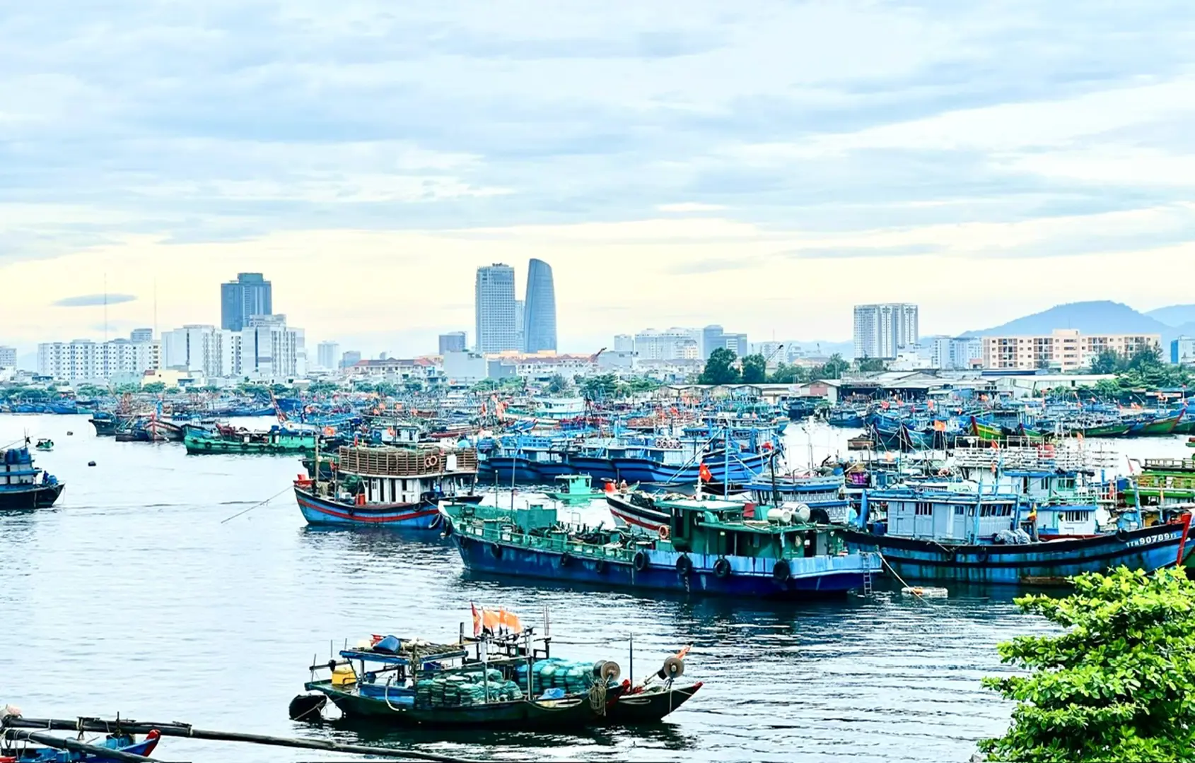 Đà Nẵng: cần giải pháp toàn diện cho cảng cá Thọ Quang