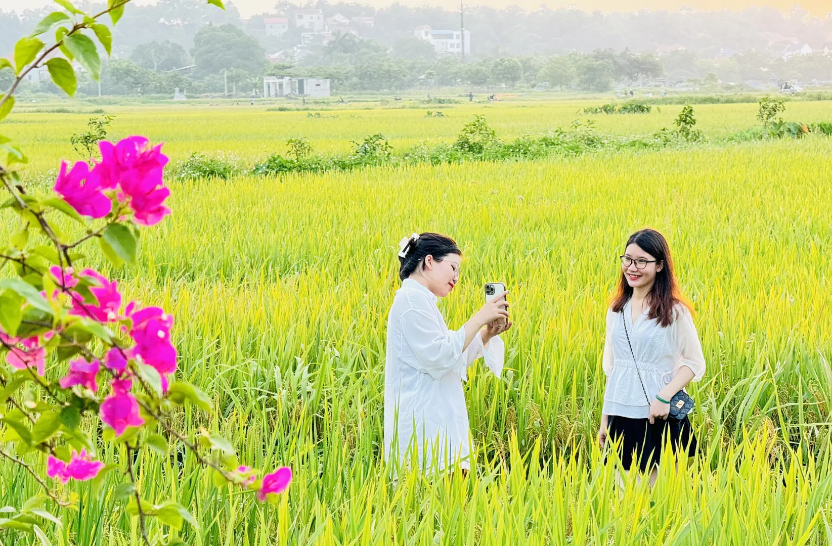 Rời phố, giới trẻ tìm đến quán cà phê giữa cánh đồng lúa ở ngoại ô