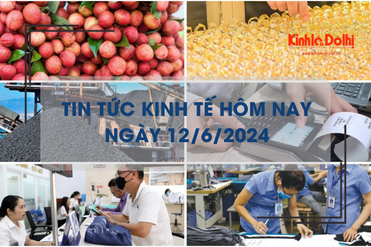 Tin tức kinh tế ngày 12/6/2024: giá vải thiều Lục Ngạn cao nhất từ trước đến nay