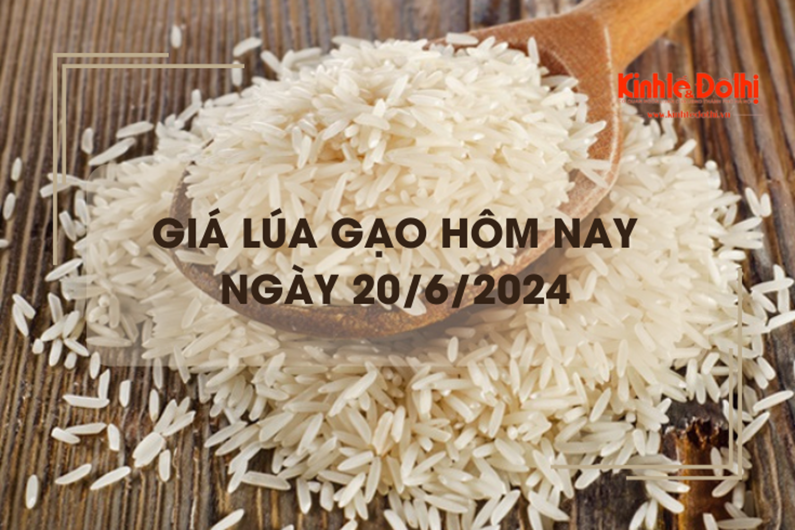 Giá lúa gạo hôm nay 20/6/2024: giá lúa giảm nhẹ 