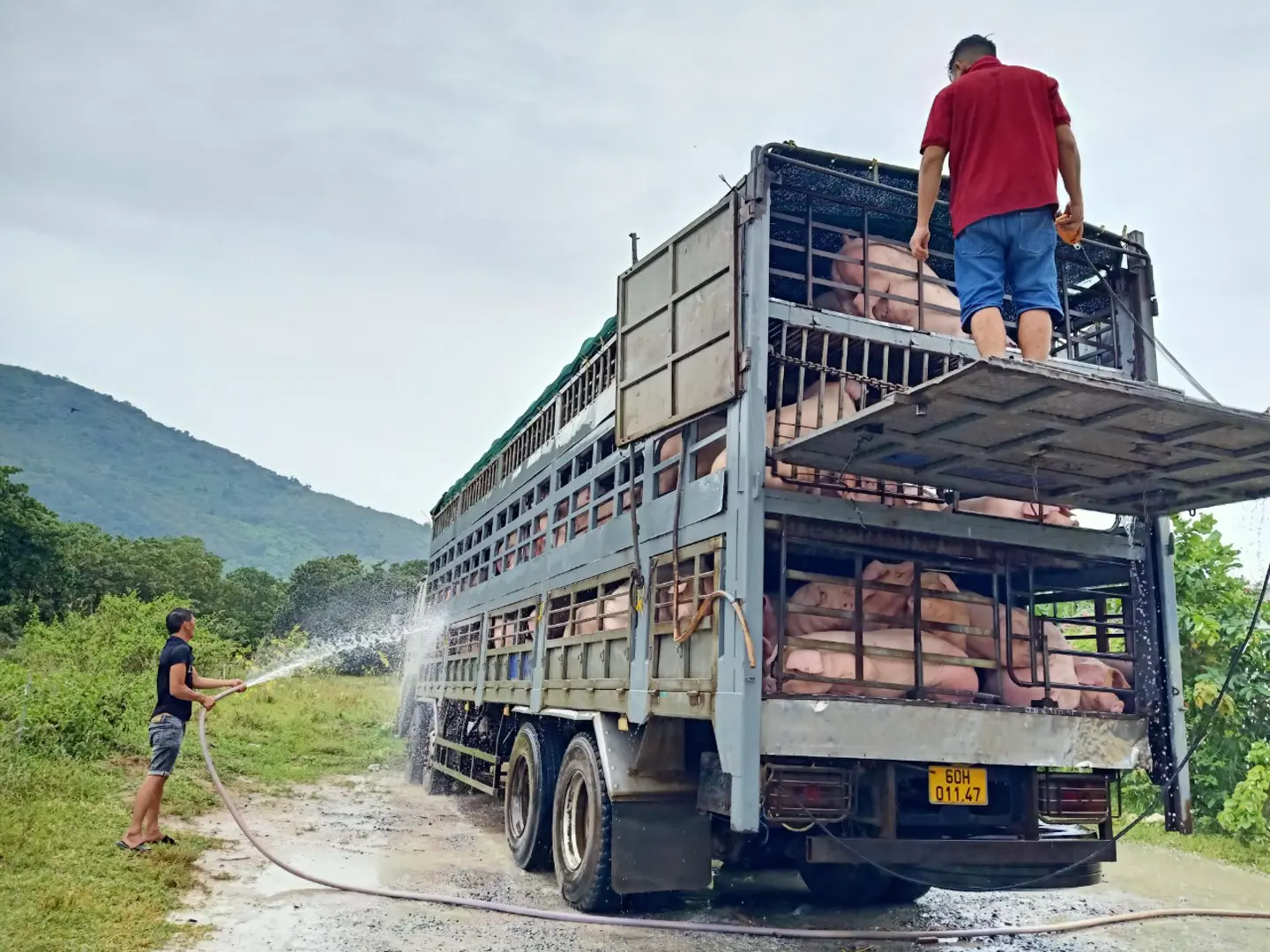 Đồng Nai: danh hiệu “thủ phủ” chăn nuôi có nguy cơ không còn