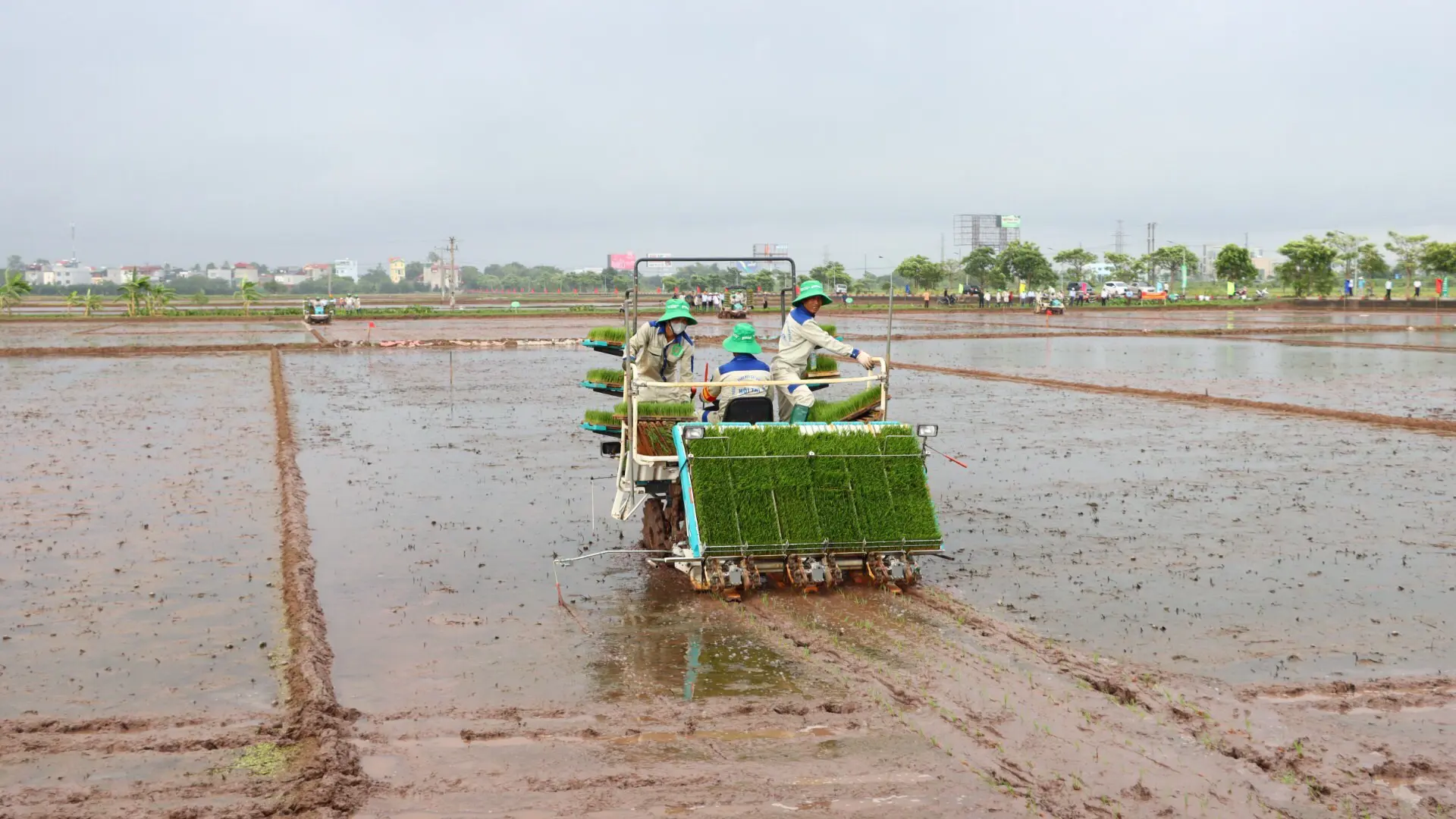 Hà Nội: nhân rộng mô hình cấy máy, giải phóng sức lao động cho nông dân