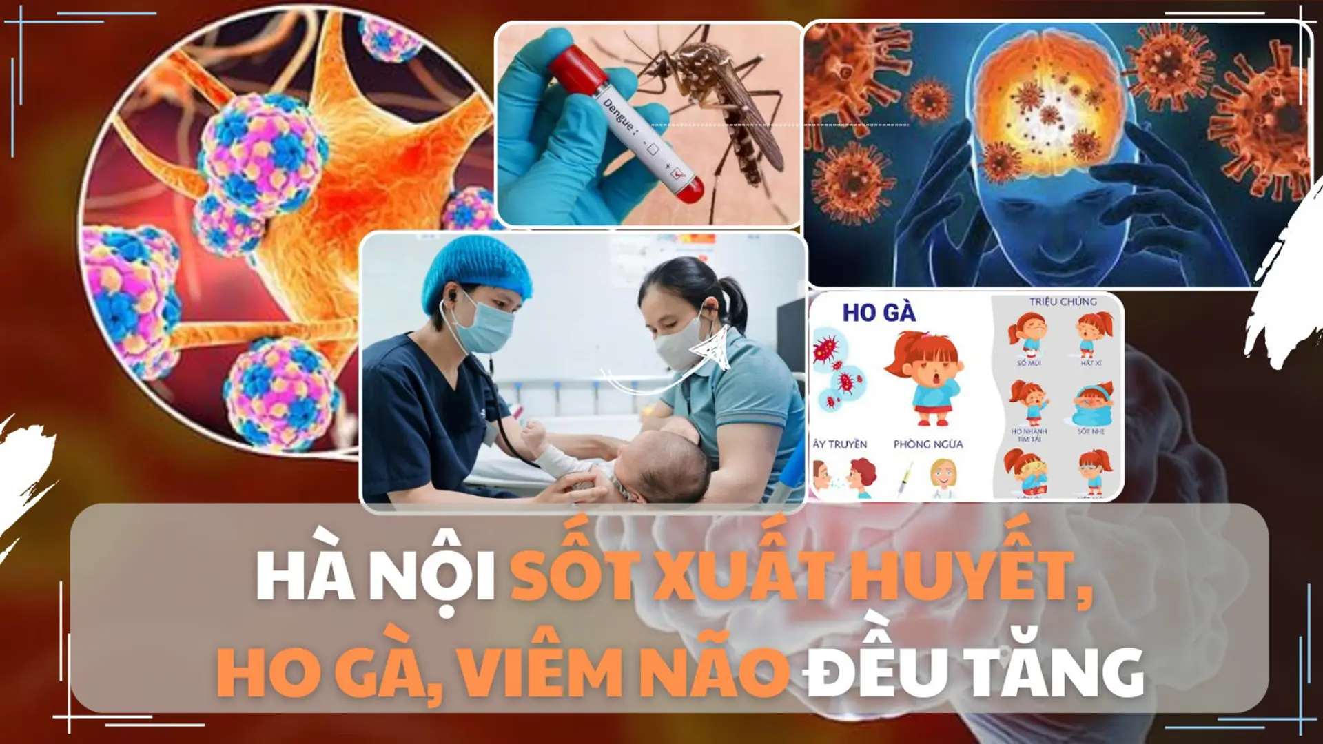 Hà Nội: Sốt xuất huyết, ho gà, viêm não tăng