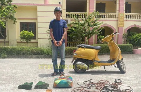 Thái Bình: khởi tố đối tượng gây ra hàng loạt vụ trộm cắp dây cáp điện