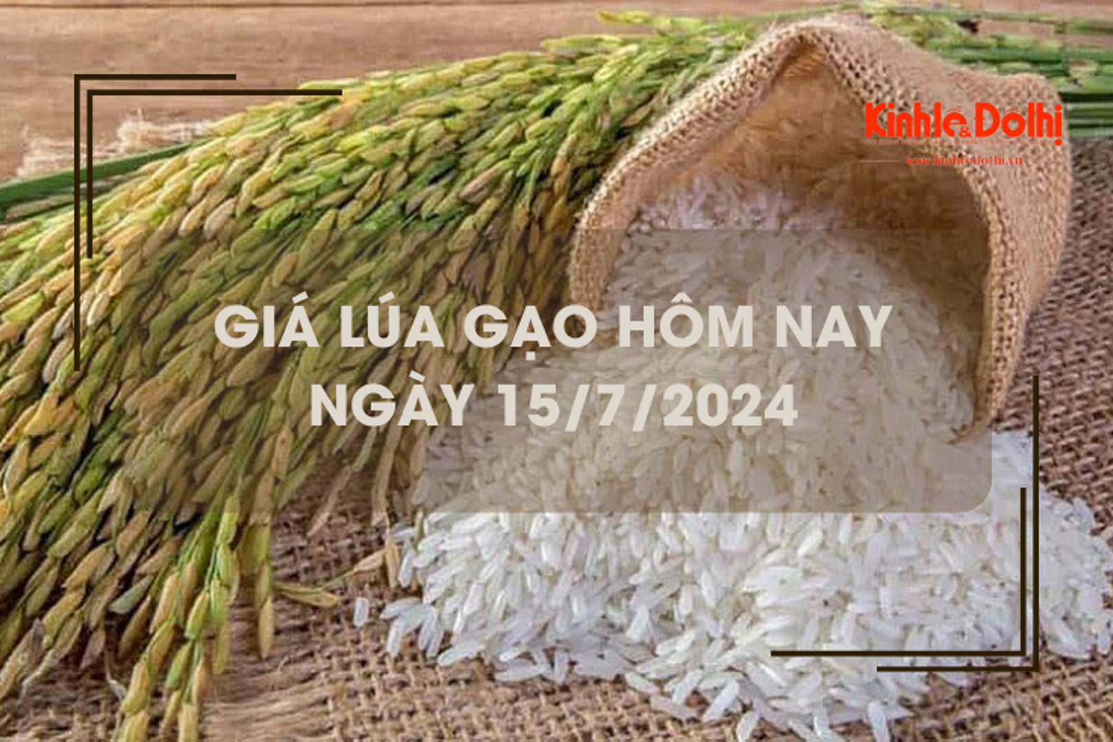 Giá lúa gạo hôm nay 15/7/2024: giá gạo xuất khẩu neo ở mức thấp nhất một năm qua