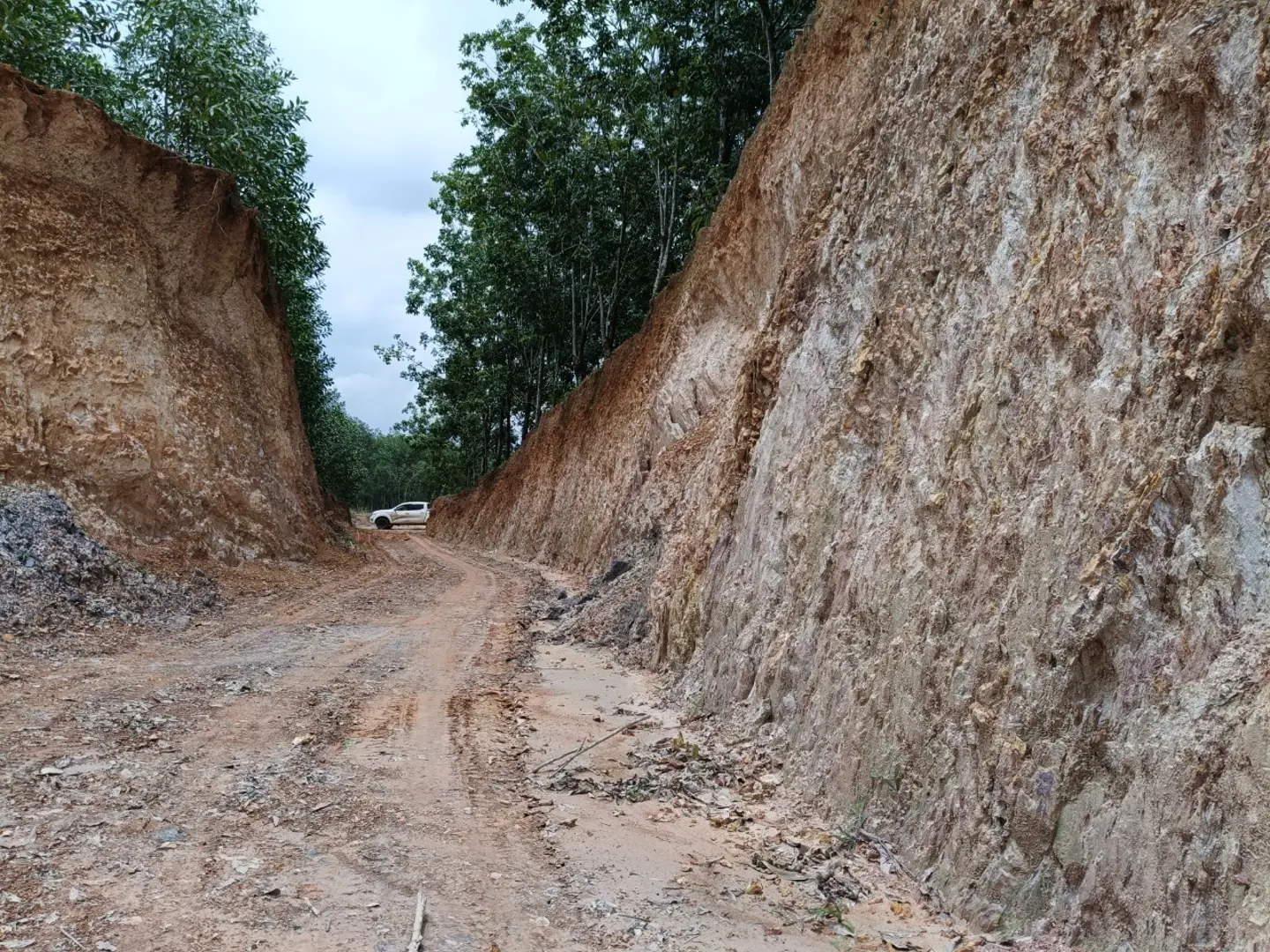 Đồng Nai: đào múc đất trái phép làm tan hoang một ngọn đồi