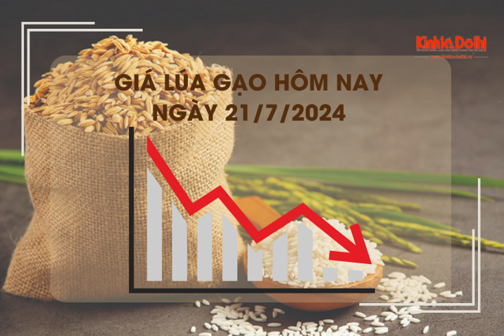 Giá lúa gạo hôm nay 21/7/2024: giá gạo tại chợ lẻ giảm mạnh 