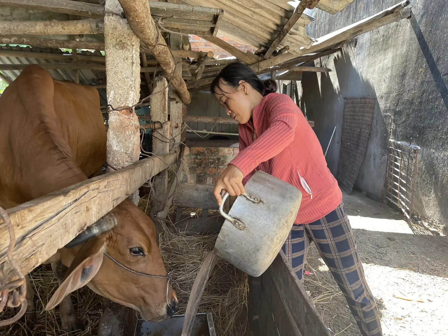 Đi lên từ bàn tay trắng