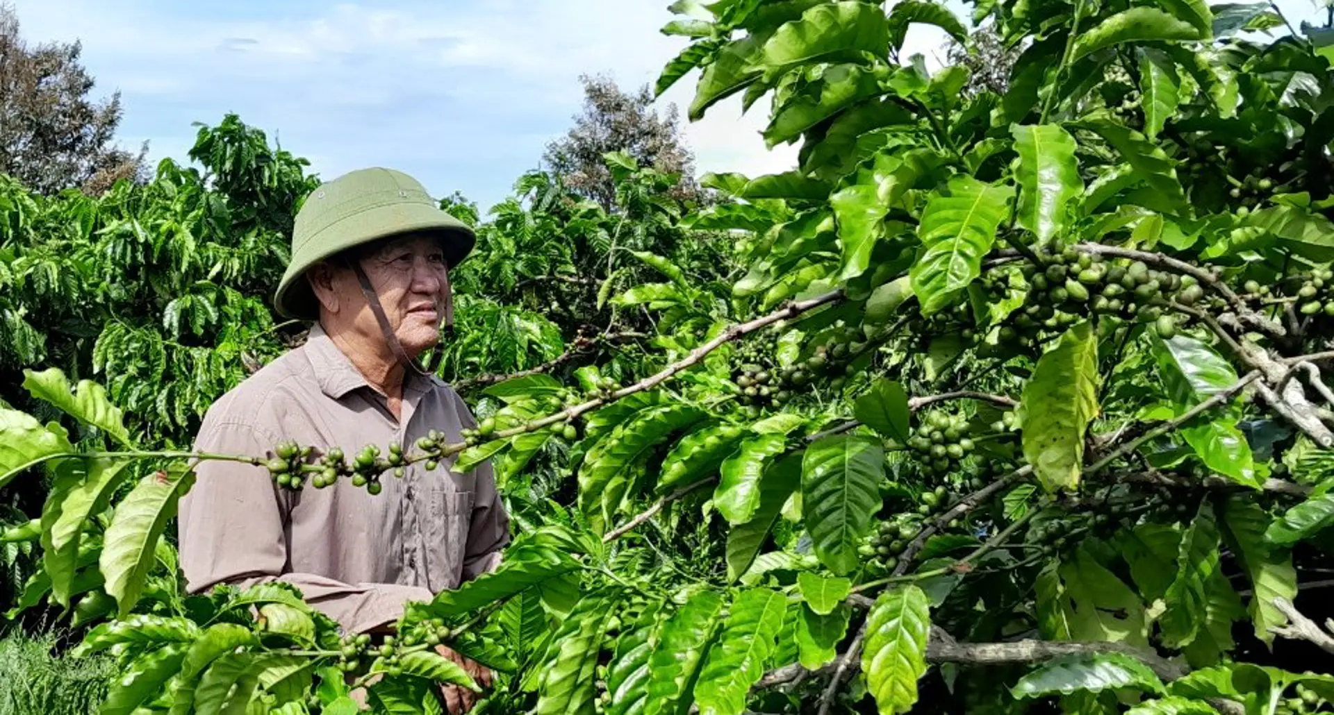 Những tấm gương thương bệnh binh vươn lên vượt qua nỗi đau thương tật