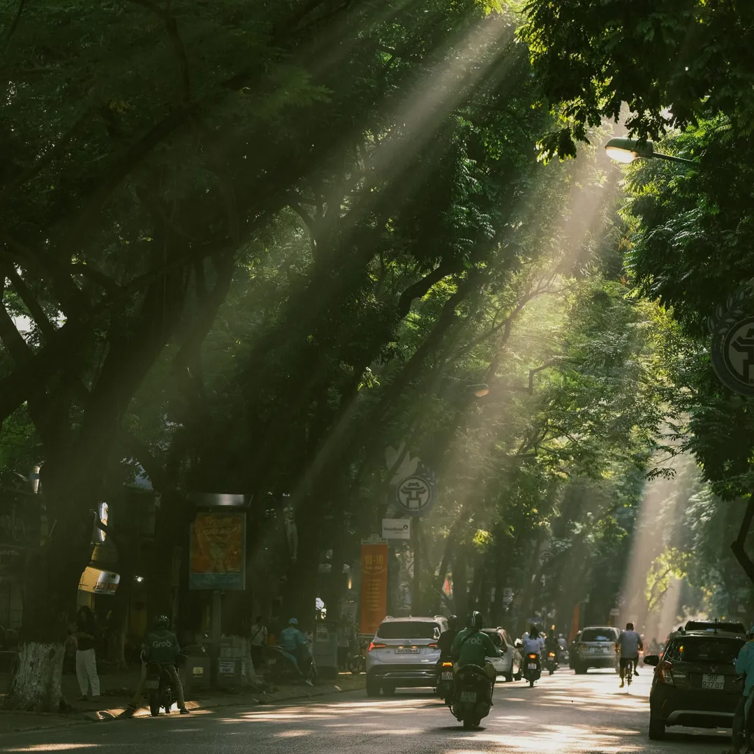 Dự báo thời tiết ngày 3/8/2024: Hà Nội mưa rào, trời mát ngày cuối tuần