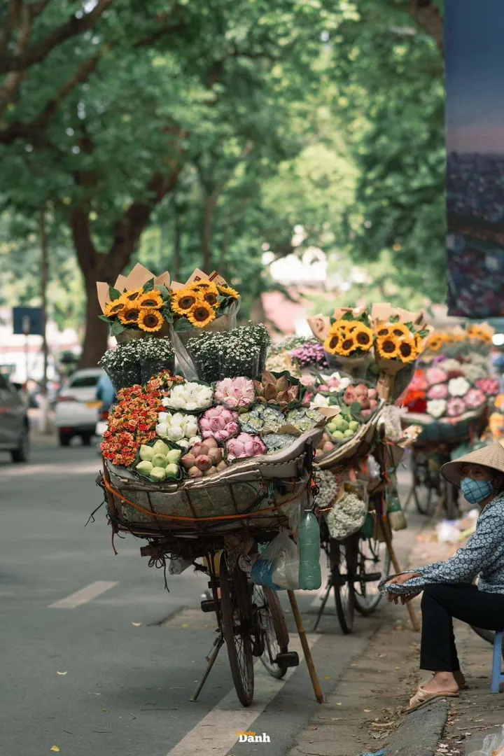 Dự báo thời tiết ngày 4/8/2024: Hà Nội nắng nóng quay trở lại