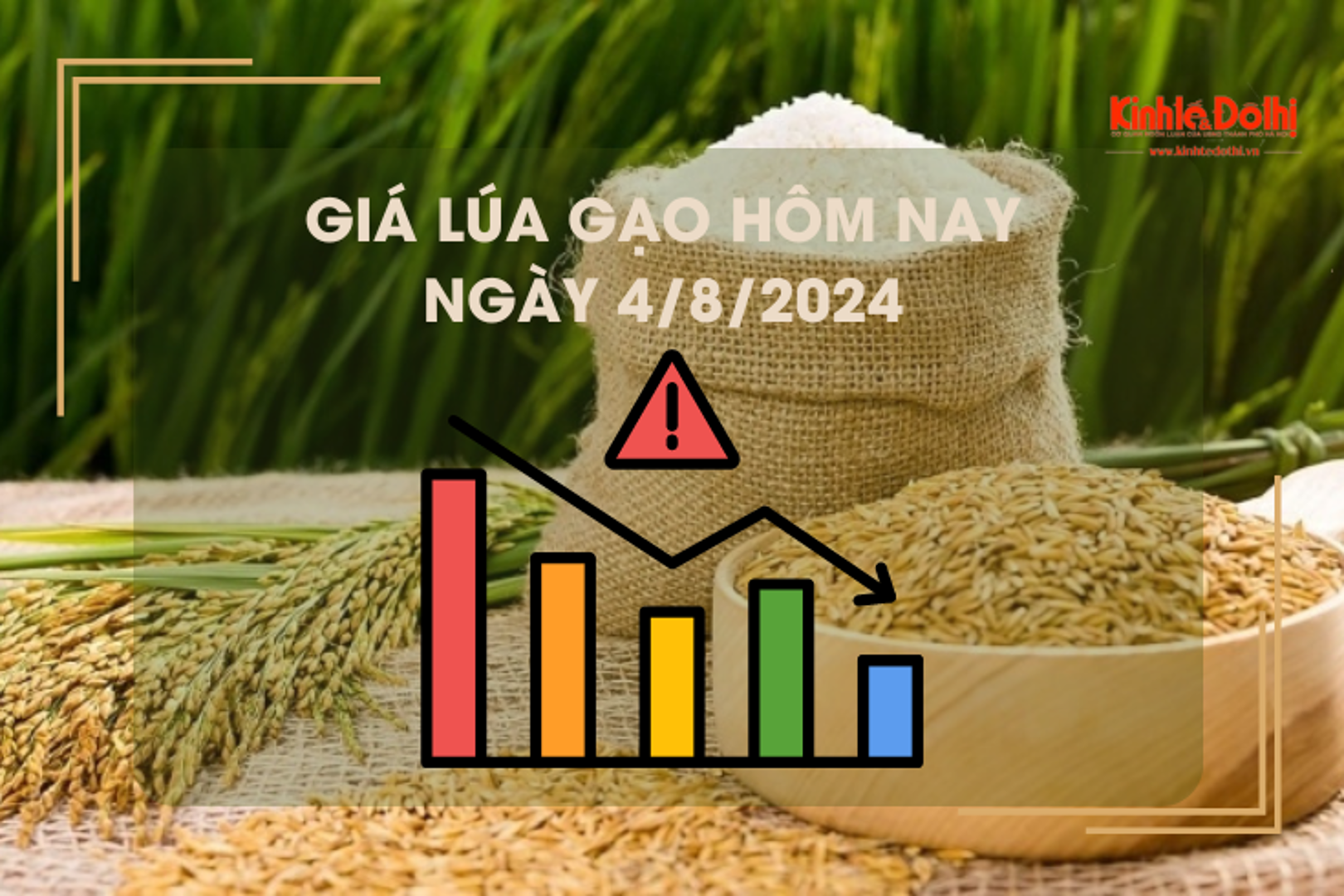 Giá lúa gạo hôm nay 4/8/2024: tăng giảm trái chiều