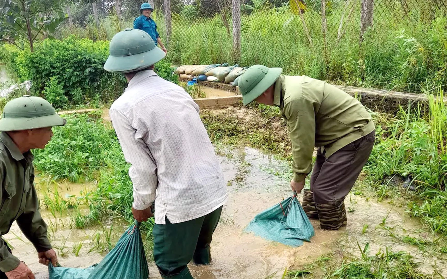 Huyện Thạch Thất không còn hộ dân bị ngập, đời sống nhân dân ổn định