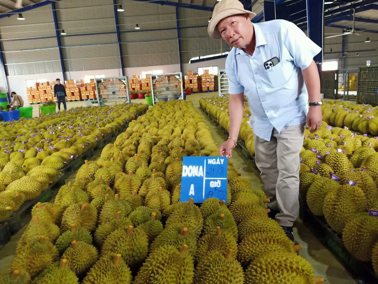 Từ nông dân làm vườn trở thành "ông vua” sầu riêng