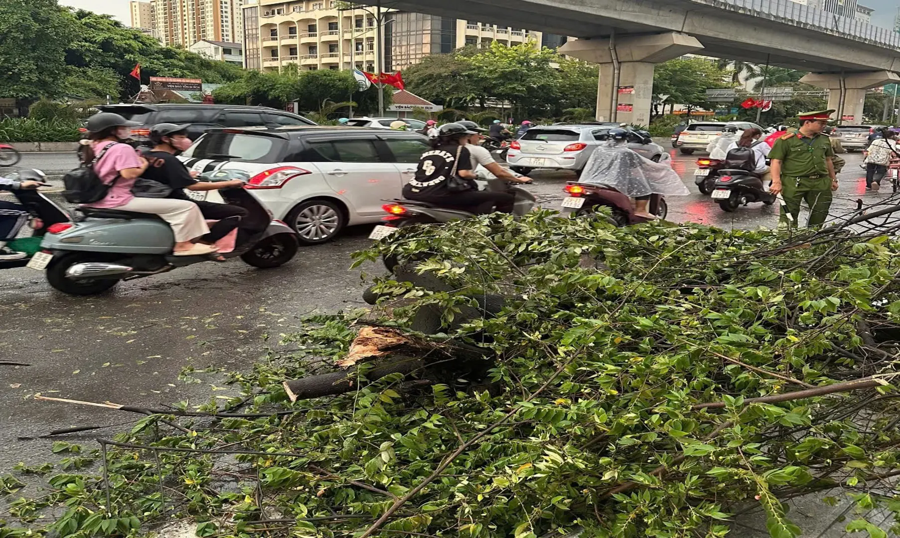 Chủ tịch UBND TP Hà Nội: tập trung xử lý thông đường giao thông, tiêu nước sau bão