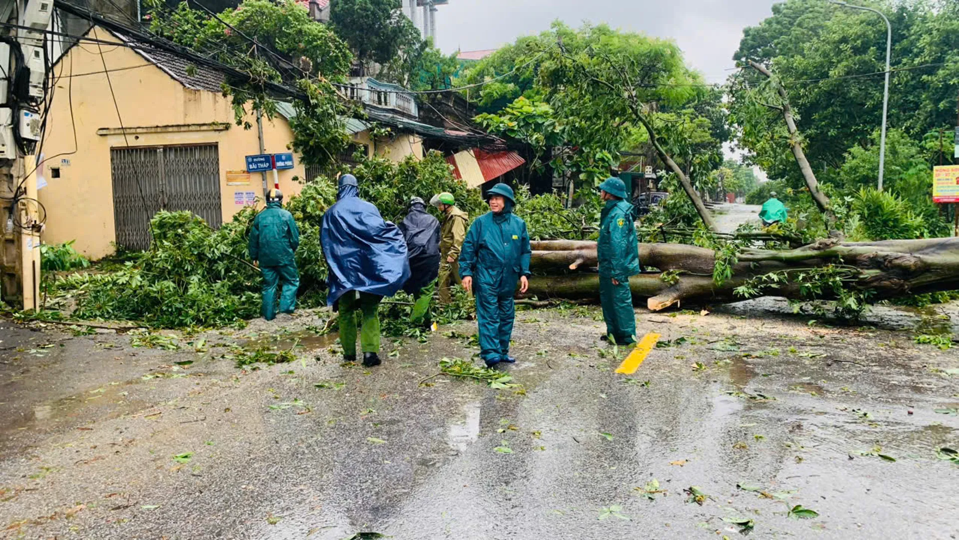 Huyện Đan Phượng: kịp thời xử lý cây xanh bị đổ do bão số 3