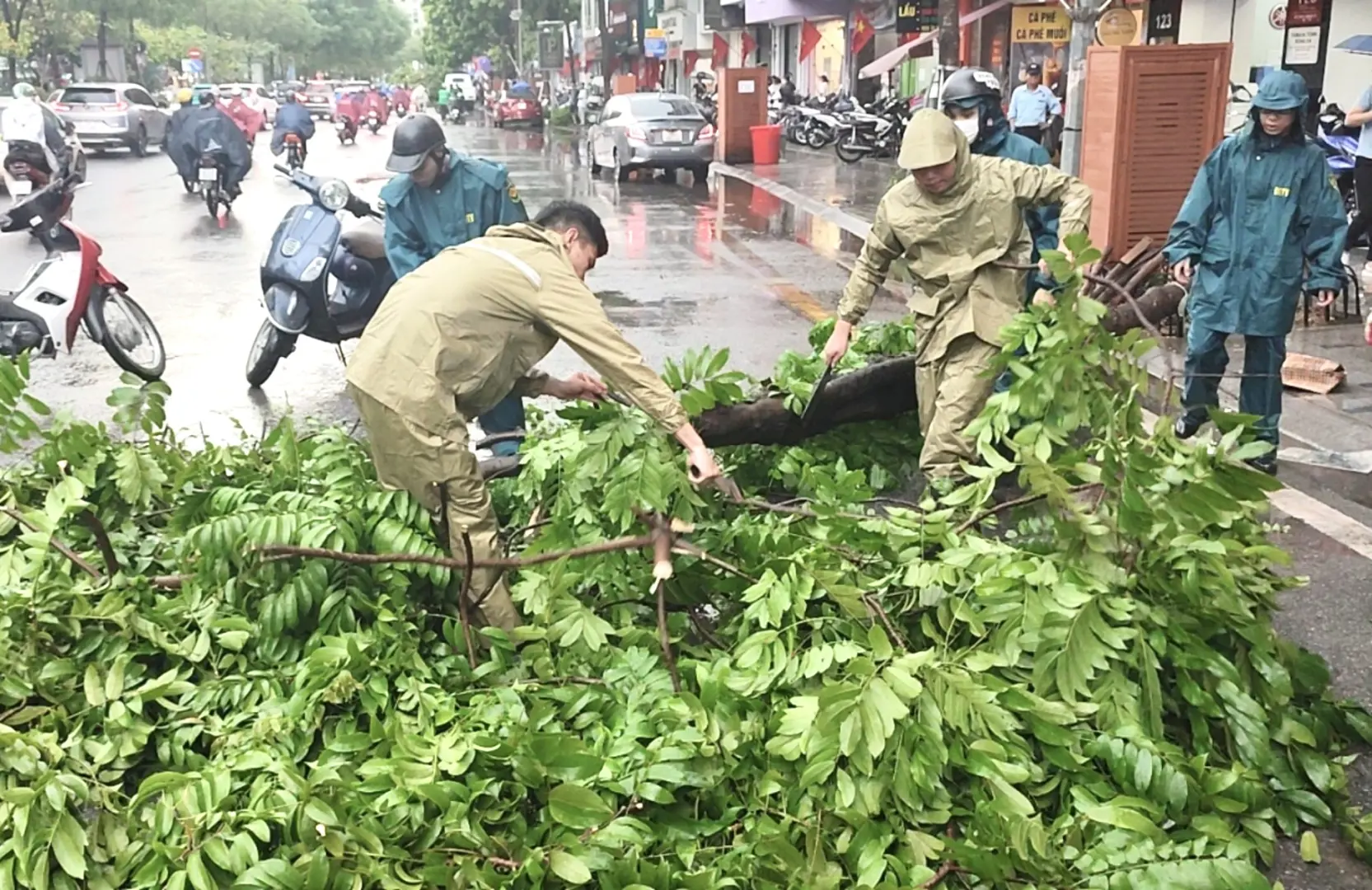 Quận Đống Đa kịp thời xử lý 20 cây gãy, đổ do ảnh hưởng bão Yagi