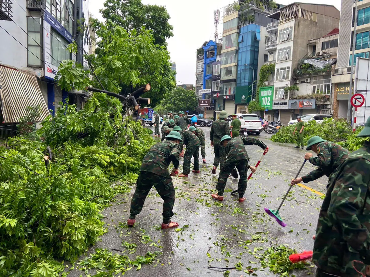 Hà Nội tập trung giải tỏa cây xanh gãy, đổ xong trước ngày 12/9/2024