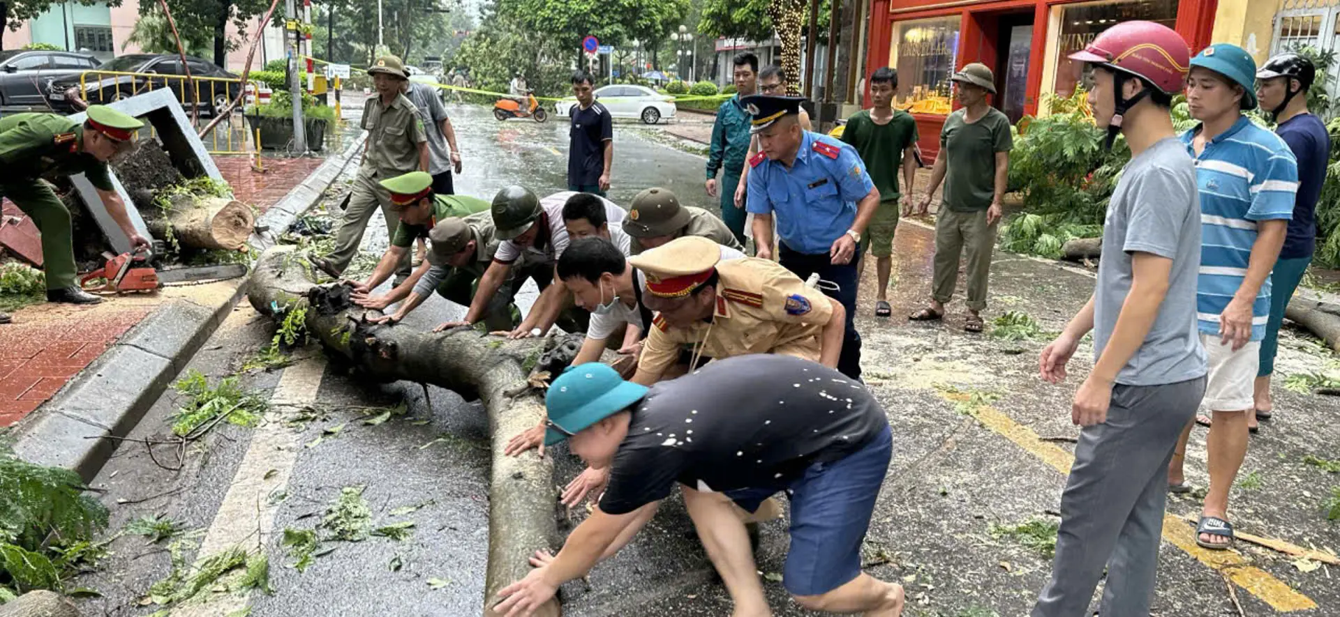 Hà Nội: Đẩy nhanh tiến độ xử lý cây xanh gẫy đổ do bão số 3