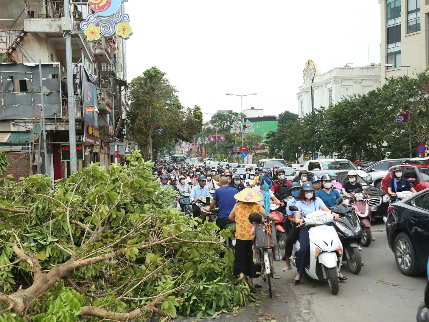 Cây xanh ngã đổ khiến đường phố Hà Nội ùn tắc nghiêm trọng 