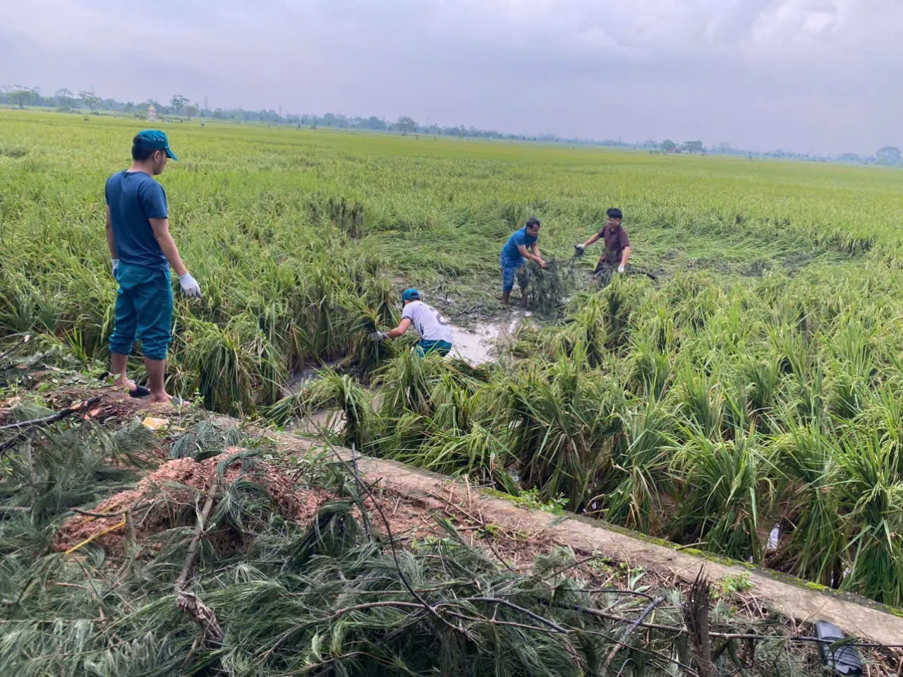 76/87 hộ dân phải di dời tránh bão ở huyện Thạch Thất đã trở về nhà