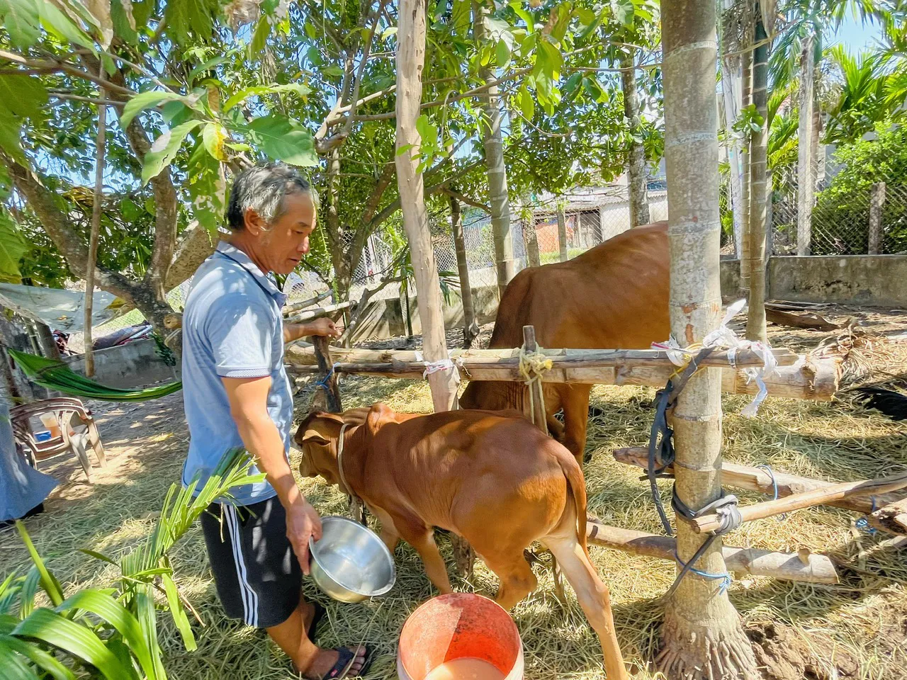 Điểm sáng trong giảm nghèo của huyện Nghĩa Hành