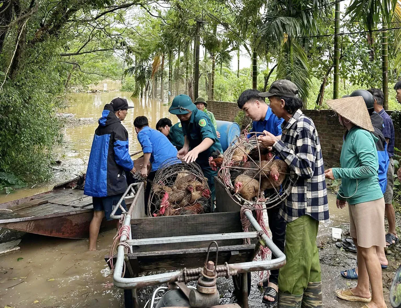 Đan Phượng: khẩn trương hỗ trợ người dân di dời khỏi vùng ngập úng